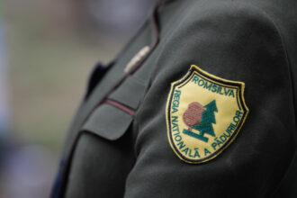 guvernul a aprobat reorganizarea romsilva numarul directiilor silvice redus semnificativ criterii de performanta pentru directori 69a9a71f1a3c4