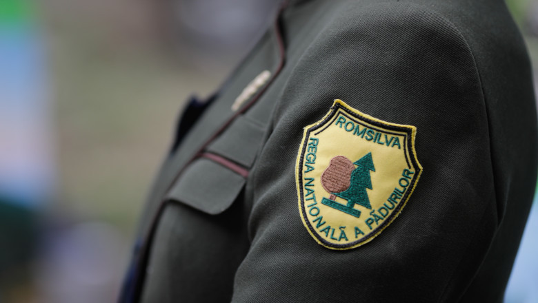 guvernul a aprobat reorganizarea romsilva numarul directiilor silvice redus semnificativ criterii de performanta pentru directori 69a9a71f1a3c4