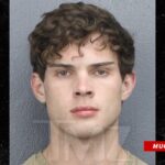 looksmaxxing streamer clavicular arrested for battery in florida 69c68543393c4