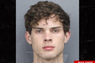 looksmaxxing streamer clavicular arrested for battery in florida 69c68543393c4
