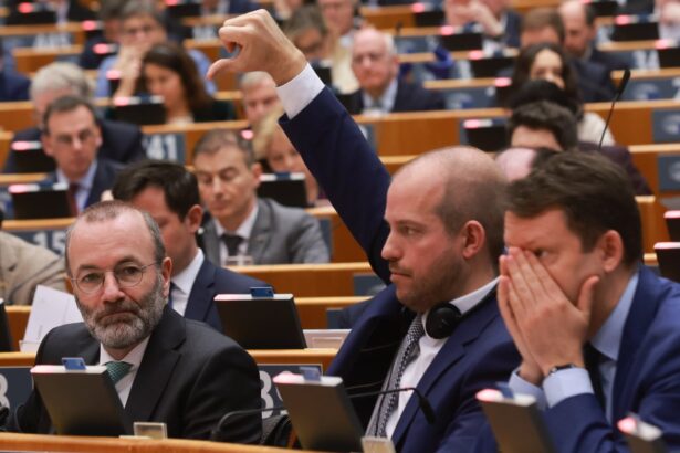 meps back plans for return hubs raising fears of human rights black holes 69c57d95dc01b