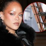 rihannas alleged house shooter could lose ability to practice speech language pathology 69c326f912964