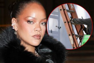 rihannas alleged house shooter could lose ability to practice speech language pathology 69c326f912964