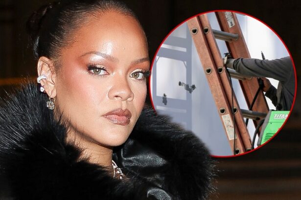 rihannas alleged house shooter could lose ability to practice speech language pathology 69c326f912964