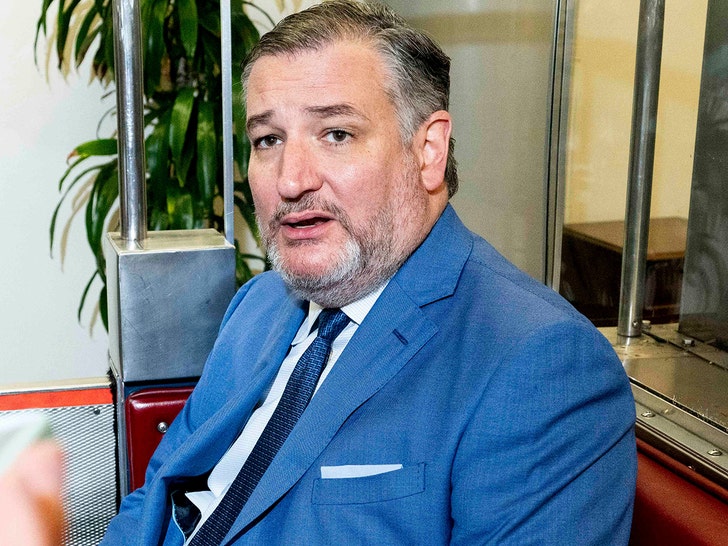 Senatorii Cruz și Thune părăsesc D.C. în timpul crizei guvernamentale 1 senators ted cruz john thune leave d c amid government shutdown 69c6ce1dbb52e