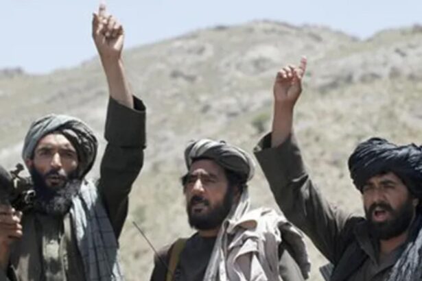 talibanii au dat un ordin prin care barbatii isi pot bate sotiile dar fara sa le rupa oasele sau sa le provoace semne vizibile 69a540035b352