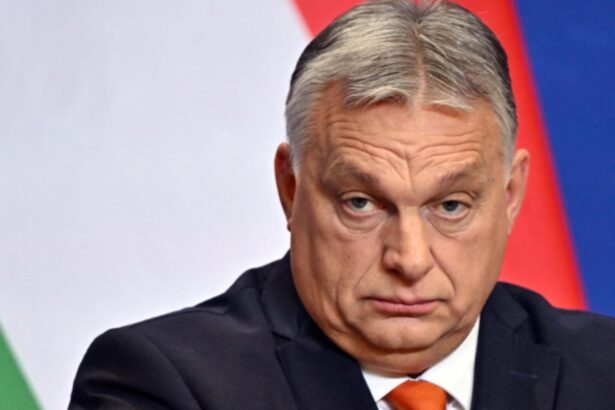 ultimele alegeri dinaintea razboiului cum foloseste viktor orban frica pentru a si pastra puterea 69a6e382b149a