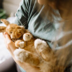 video nu sunt jucarii iepurasi cumparati de paste abandonati apoi in parcuri sau la gunoi apelul asociatiilor de protectie a animalelor 69c509db2bfdf