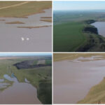 video un lac din olt secat ani la rand s a reumplut dupa ploile si ninsorile din ultimele luni au inceput sa apara si pasarile 69b7214cc2042